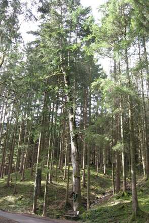 Beim Hergott an der Tann Jenbachtal