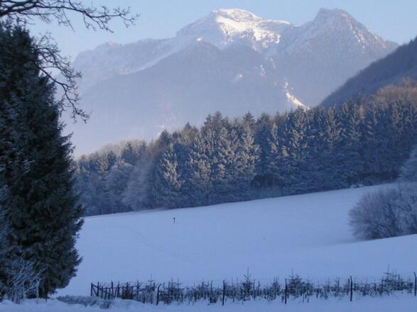 Aussicht1