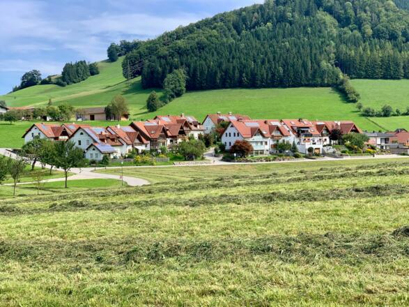 Großraming Blick Richtung Mitterweg