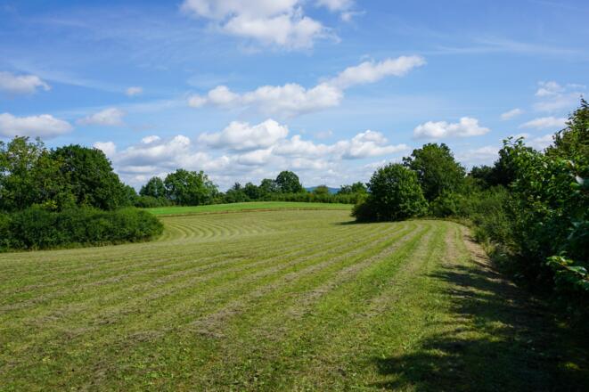 Auf dem Graitzer Berg