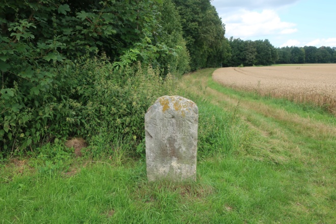 Historischer Grenzstein am Wegesrand
