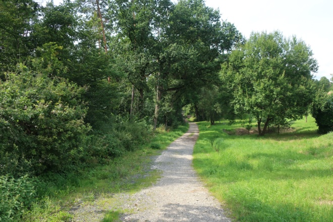 Schöner Weg in Grub am Forst