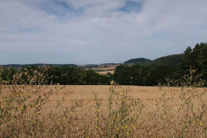 Blick über die Felder bei Plesten
