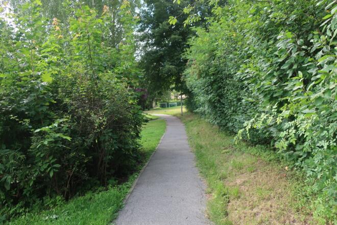 Schöner Weg durch Grub am Forst