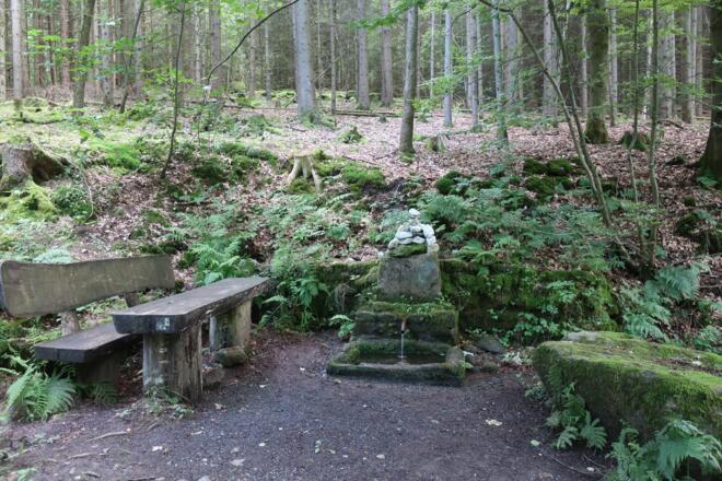 Rastplatz an der Kaulbergquelle