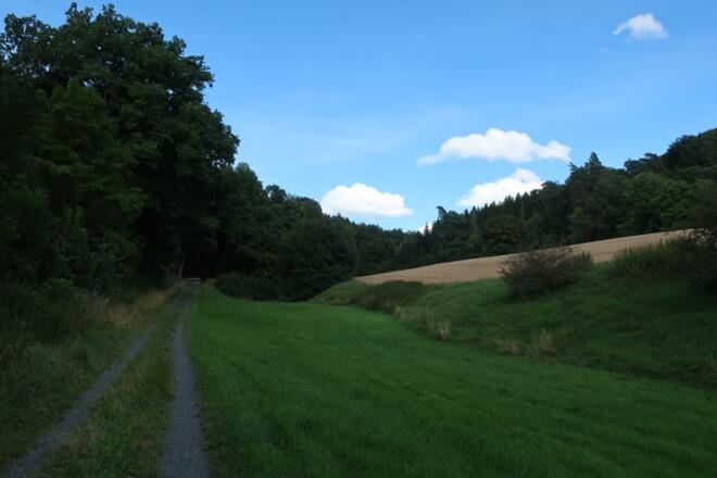 Rundweg Weinberg Kulm