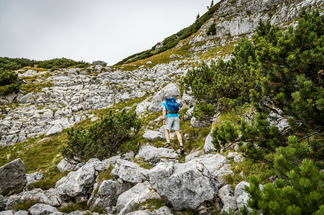 Der obere Teil des Böslsteigs