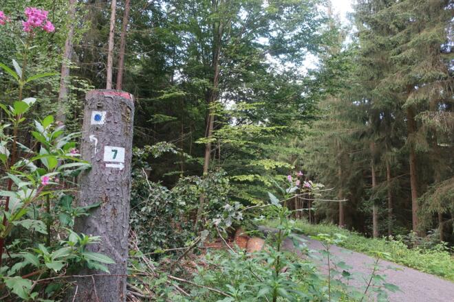Wegmarkierung des Wildparkweges
