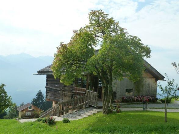 Haus