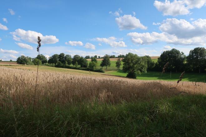 Rundweg Weinberg Kulm