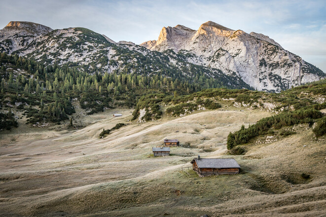 Almfläche auf der Reiter Alm
