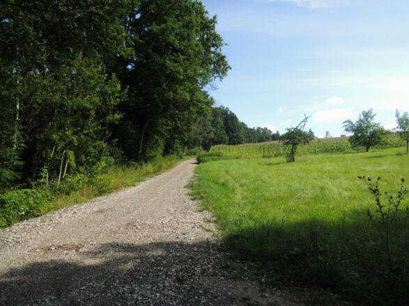 Auf dem Weg nach Stöppach