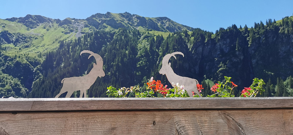 Aussicht auf den Talschluss