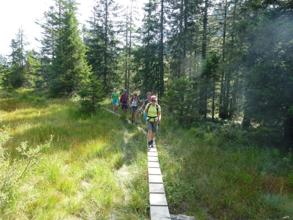 durch das Hochmoor nach dem Spieser