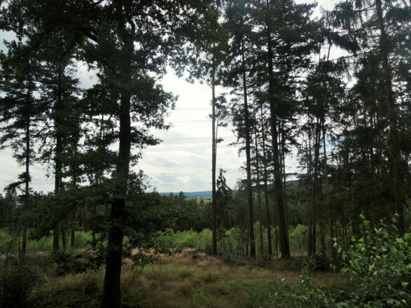 Blick auf das Coburger Land