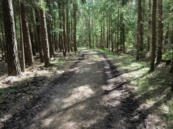 Entlang des Rundwanderwegs E1