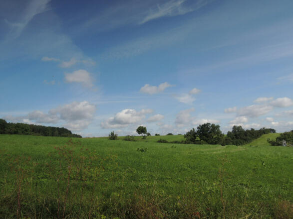 Schöner Ausblick auf die grüne Wiesenlandschaft bei Scherneck