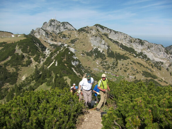 Wegearbeiten am Wildalpjoch. Im Hintergrund Wendelstein und Soinwand