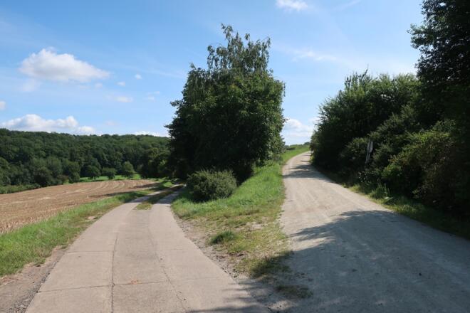 An der Wegkreuzung nehmen wir den rechten Weg, auf dem linken kehren wir später zurück.