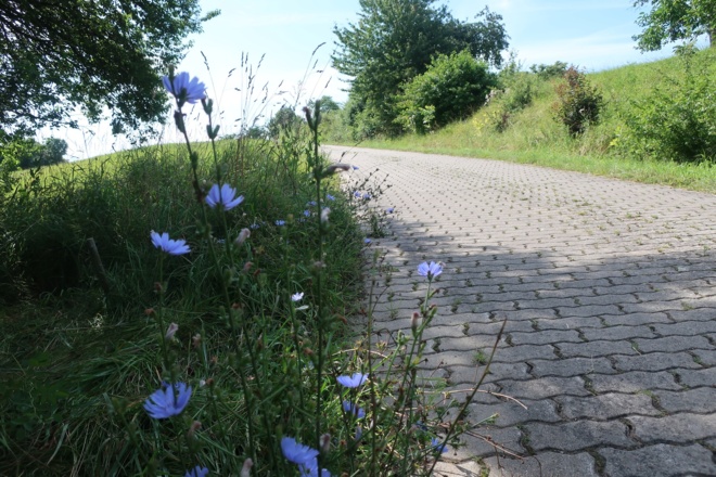 Auf dem Sagenwanderweg Ost
