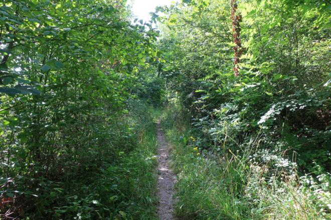 Rundweg Weinberg Kulm