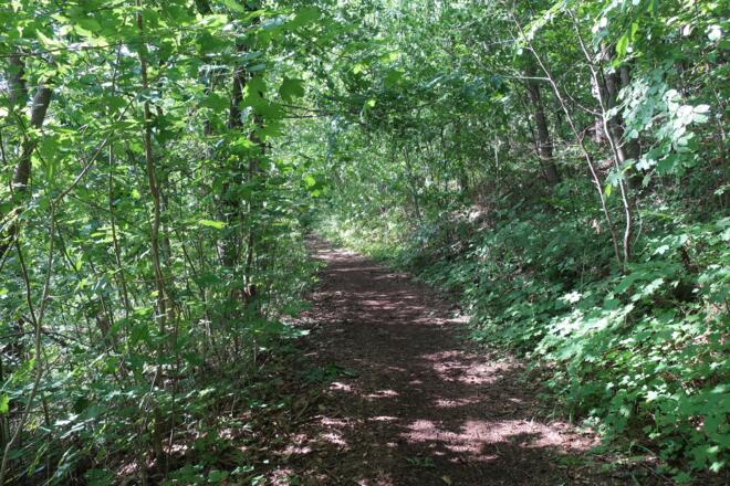 Rundweg Weinberg Kulm