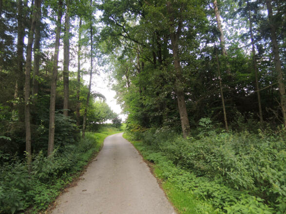 Auf dem Rundwanderweg E1