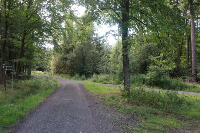 Wegkreuzung im Mönchrödener Forst