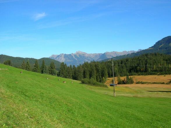 Blick vom Haus