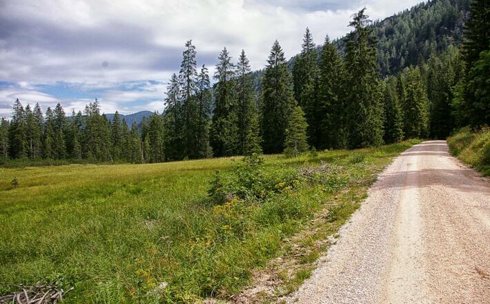 Radlweg im Lattengebirge zur Moosenalm