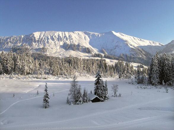 Winterlandschaft