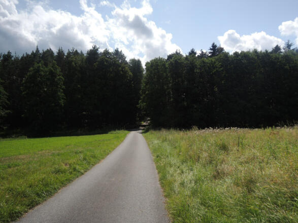 Unterwegs im Naturerholungsgebiet Ebersdorf