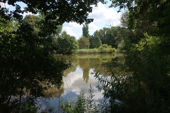 Der See zur Siemauer Sage „Die Otternkönigin“