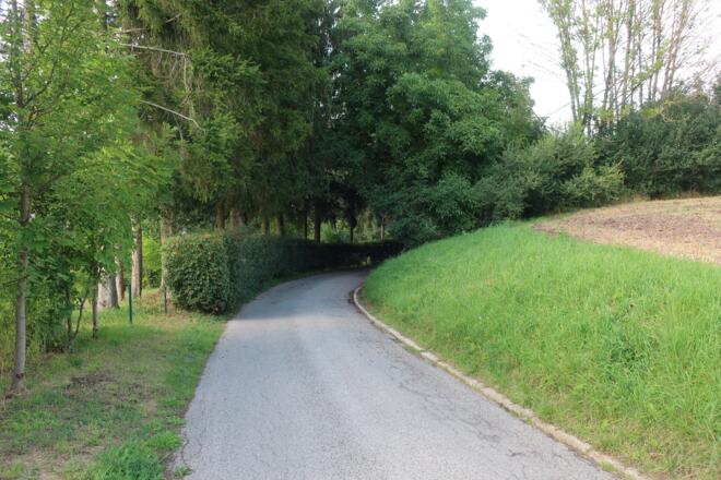 Rundweg Weinberg Kulm