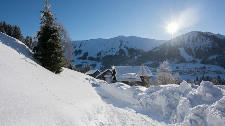 Altes Forsthaus - Haus Winter