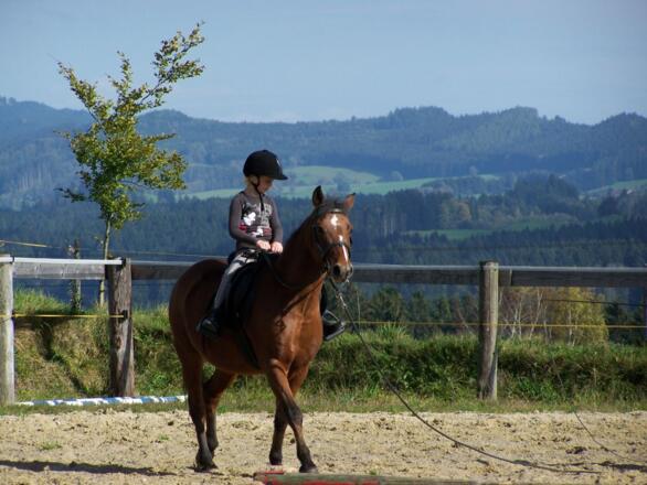 auftrixireiten_1