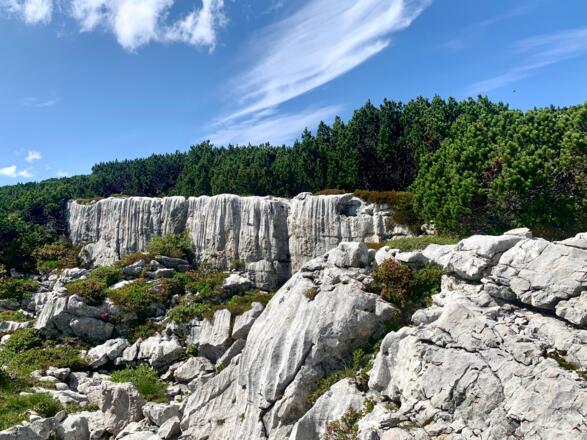 Südseite Margschierf
