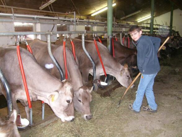 stallgehilfe
