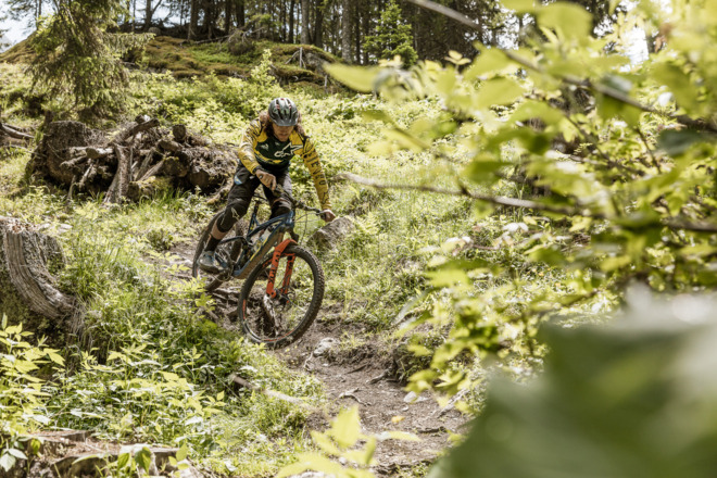 Leiterberg Trail