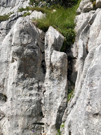 Riffkalk am Dachstein