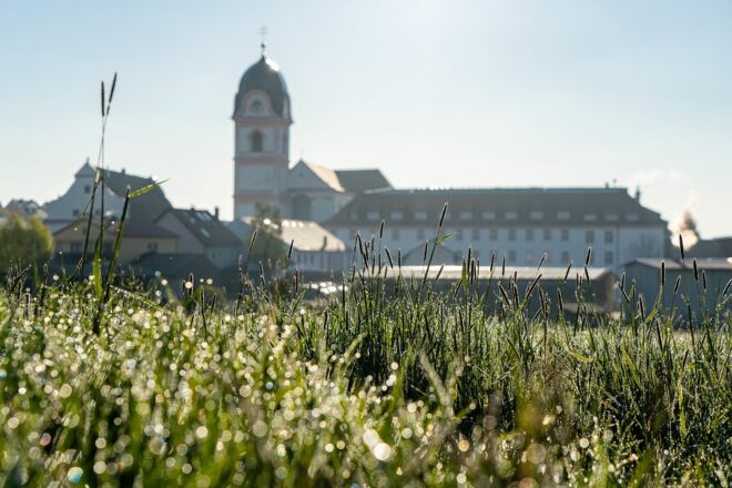 Die barocke Asam-Kirche in Rohr i.NB am Morgen