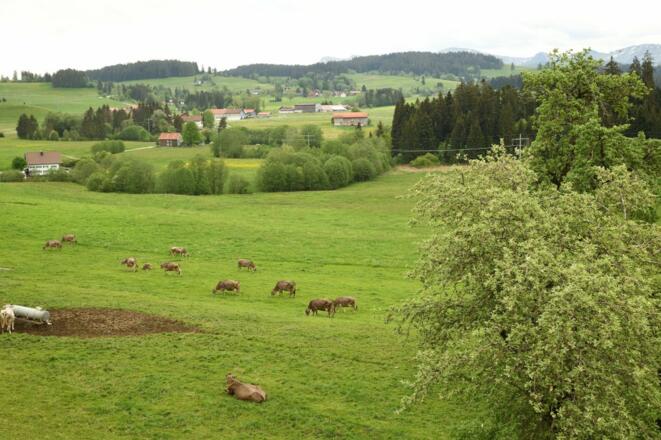 Unsere idyllische Lage