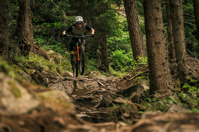 Leiterberg Trail
