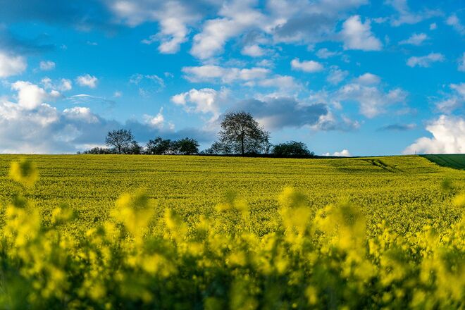 Im Tal der Großen Laber