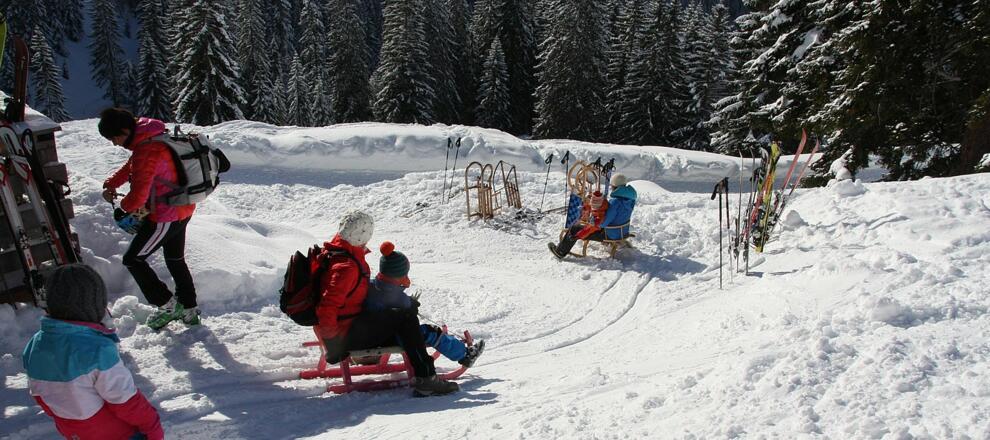 Rodeln von der Hochalm in Unken