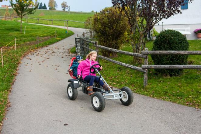 catcarfahren2