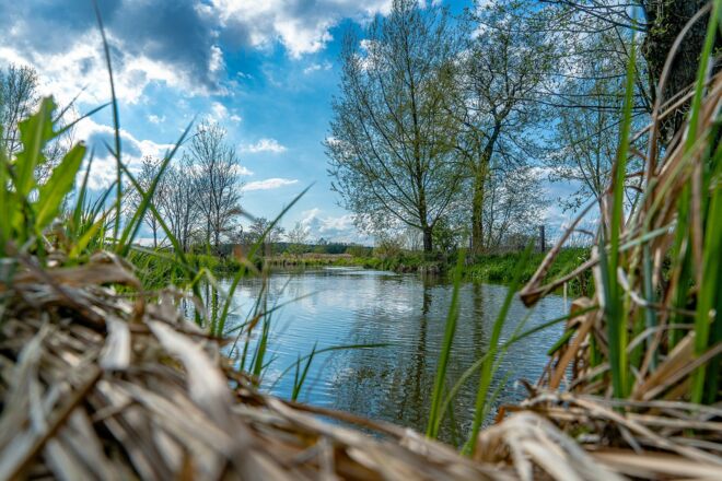 Die Große Laber bei Langquaid