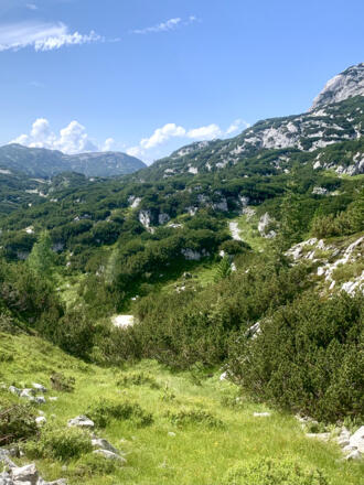 Hirzkaralm