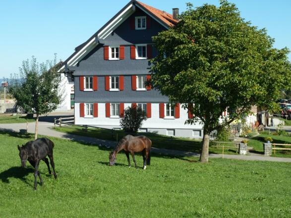 ferienhofwiedemann