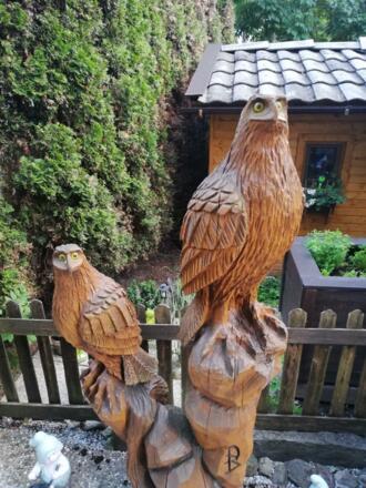 Adler im Garten